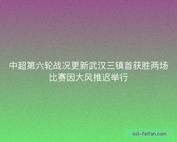 中超第六轮战况更新武汉三镇首获胜两场比赛因大风推迟举行