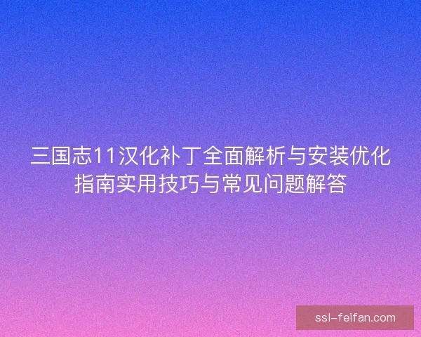 三国志11汉化补丁全面解析与安装优化指南实用技巧与常见问题解答